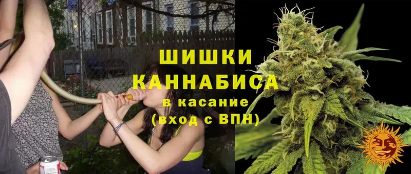 продажа наркотиков  Камень-на-Оби  Каннабис Bruce Banner 